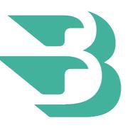 Bflows Srl's Logo