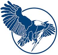 Eagle Security's Logo