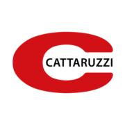 Cattaruzzi poultry processing solutions's Logo