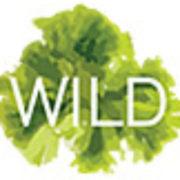 Wild Irish Seaweeds Ltd's Logo