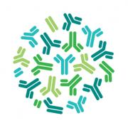 Top 7 CAR-T Cell Therapy Companies in Slovakia (2026) | ensun