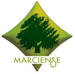 INDUSTRIA ACEITUNERA MARCIENSE SA's Logo