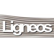 Ligneos Srl's Logo