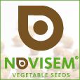 Dings Seed & Food Holding B.V.'s Logo