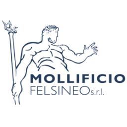 Mollificio Felsineo srl Logo