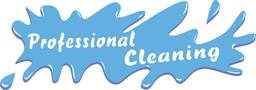 Professional Cleaning di Vincenzo Triveri's Logo