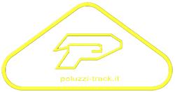 Poluzzi Track System Engineering's Logo