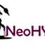 NeoHYBRID ENGINEERING PROVIDER's Logo