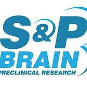 S&P Brain's Logo