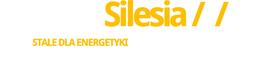 Stalmer Silesia's Logo