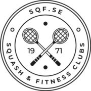 Vulkan Squash's Logo