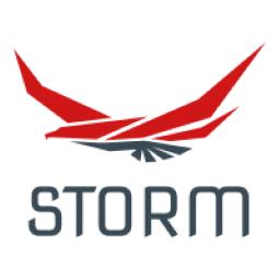 Storm's Logo