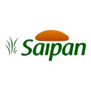 Saipan S R L's Logo