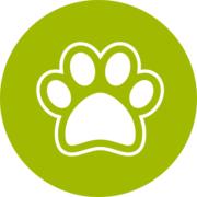 Special Pet's Logo