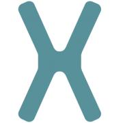 Xcelgo A/S's Logo