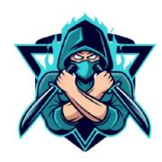 Digital Ninja's Logo