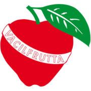 VACILFRUTTA S.R.L.'s Logo