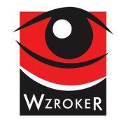 Wzroker.pl's Logo