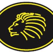 Wyck Lions's Logo