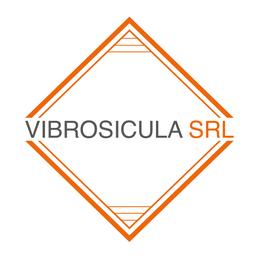 Vibrosicula Srl's Logo