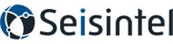 Seisintel's Logo