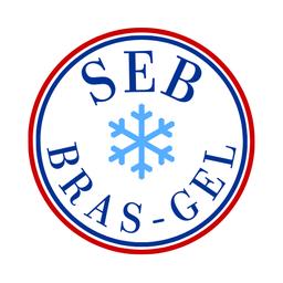 Brasgel's Logo