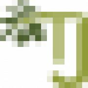 TJ Payroll Services Cy Limited's Logo