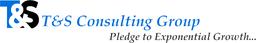 T&S Consulting Group's Logo
