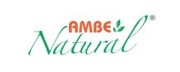 Ambe NS Agro Products Pvt. Ltd.'s Logo