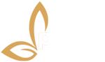 Palm dish's Logo