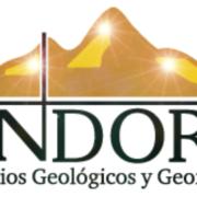 Findore's Logo