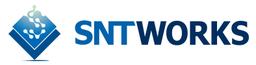 SNTWORKS Inc.'s Logo