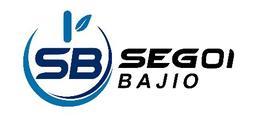 SEITON BAJIO's Logo