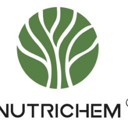 NUTRICHEM INTERNATIONAL's Logo