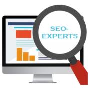SEO-Experts - SEO & Digital Marketing Company in Nashik's Logo