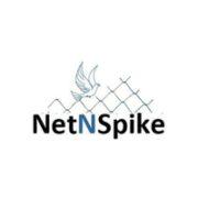 Net N Spike's Logo