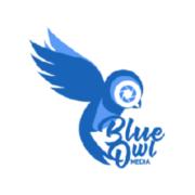 BlueOwl Media's Logo
