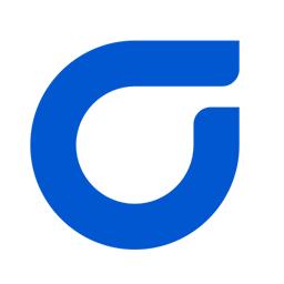 True North Strategy's Logo