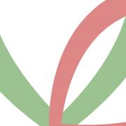 All Ingredients Plus Inc.'s Logo