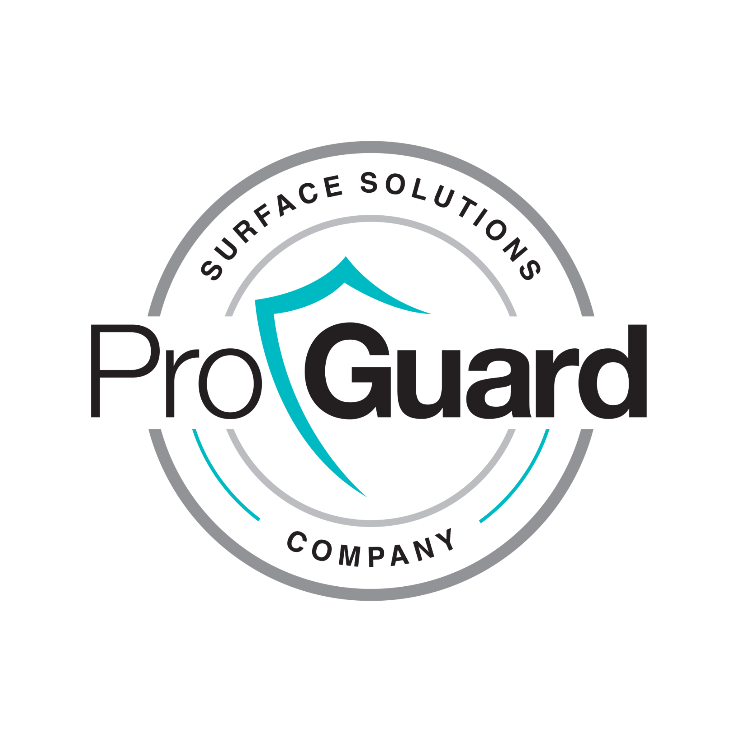 ProGuard Solutions Co. Logo