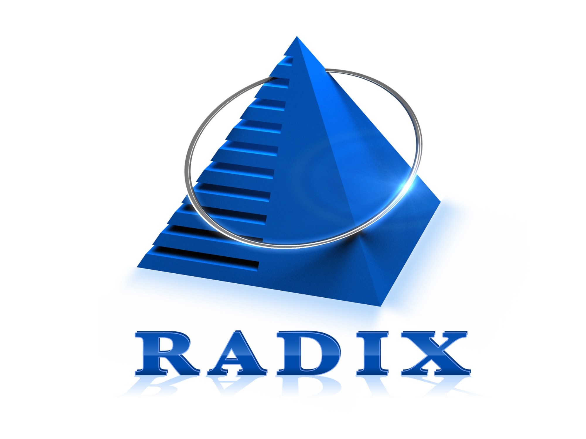 Radixweb's Logo