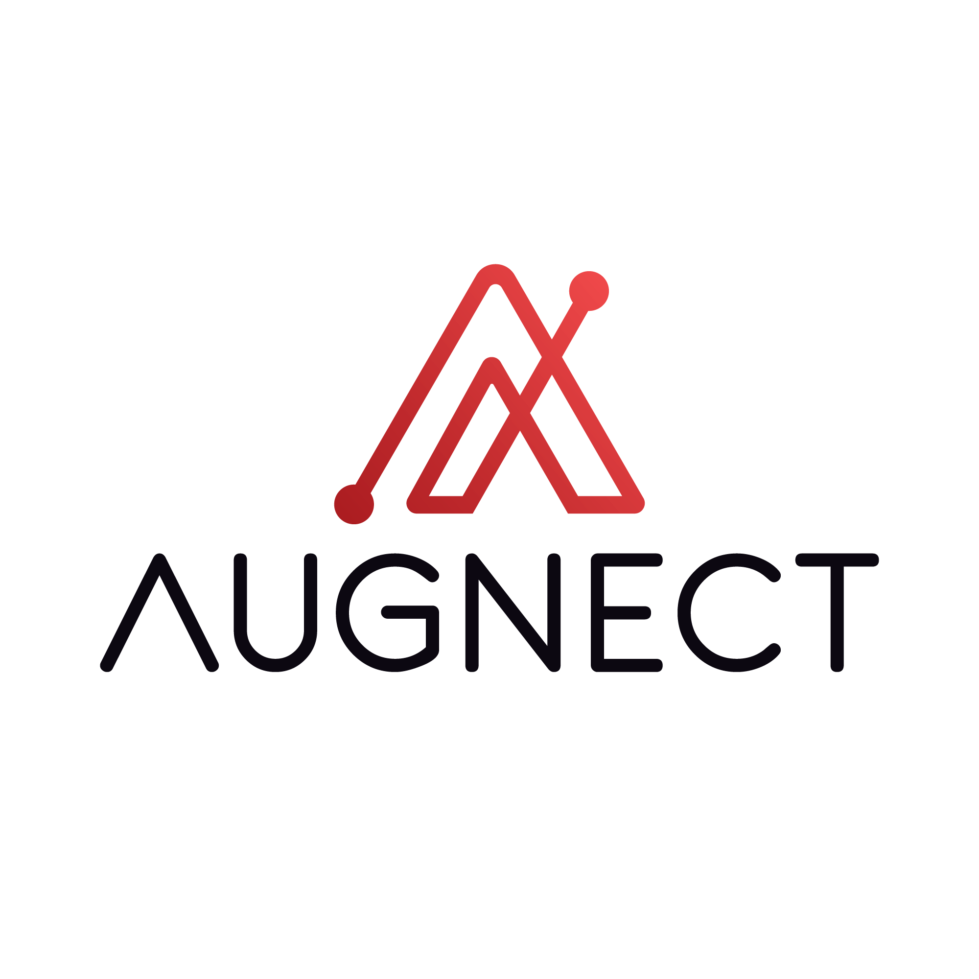 Augnect's Logo