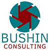 Bushin Consulting LLC Logo