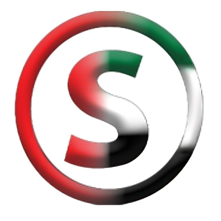 Saving Says AE's Logo