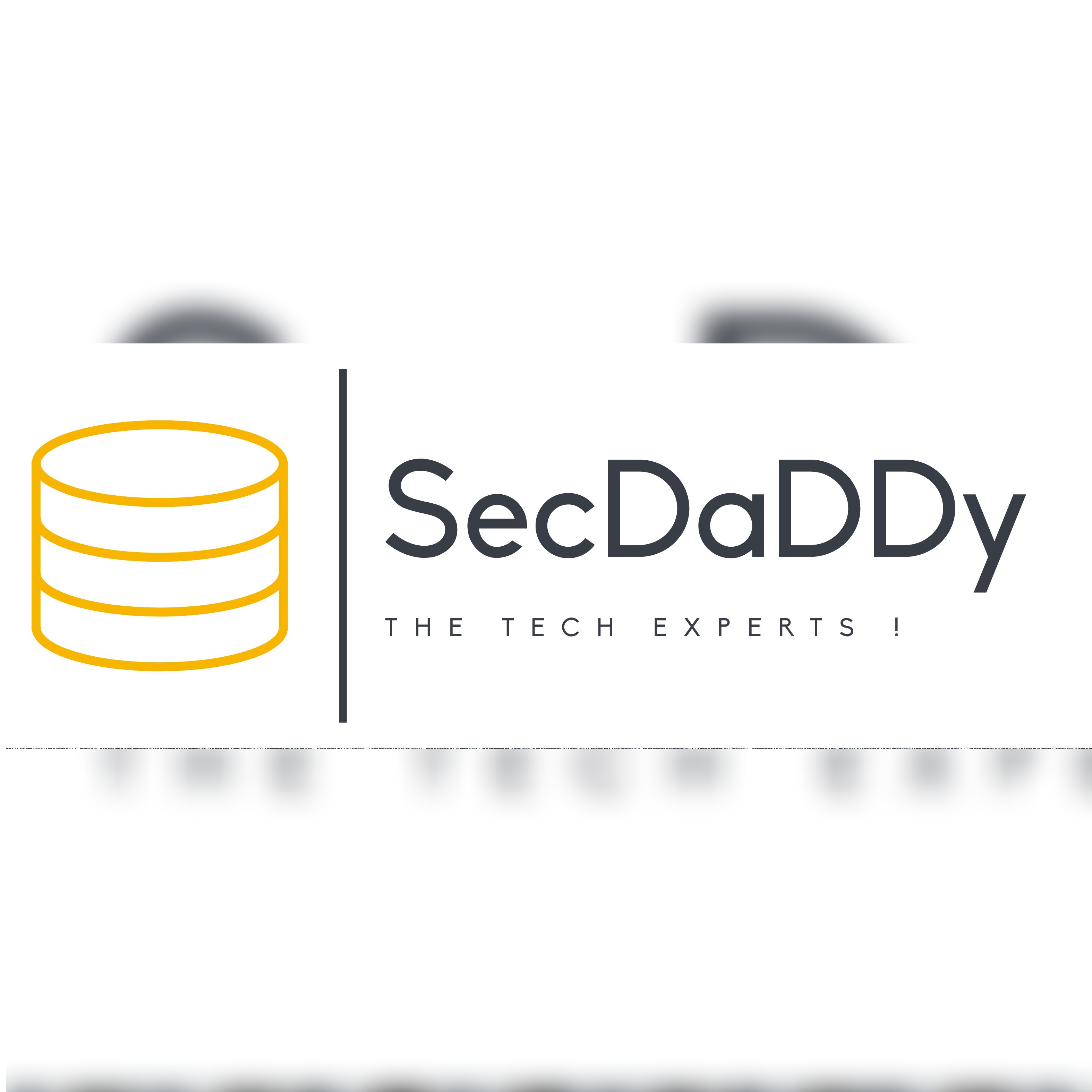 Secdaddy IT Solutions Logo