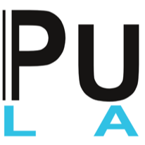 PULSAR Laser Logo
