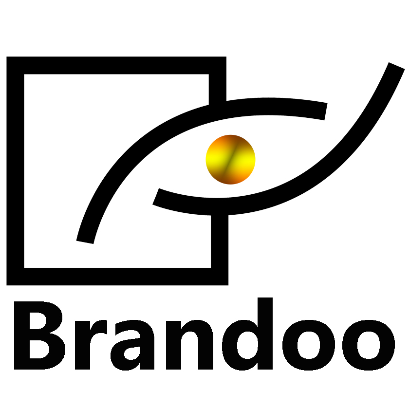 Shenzhen Brandoo Technology Co.,Ltd Logo
