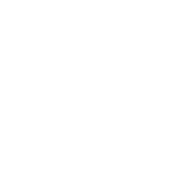 Institute Fofr Industrial Development Logo