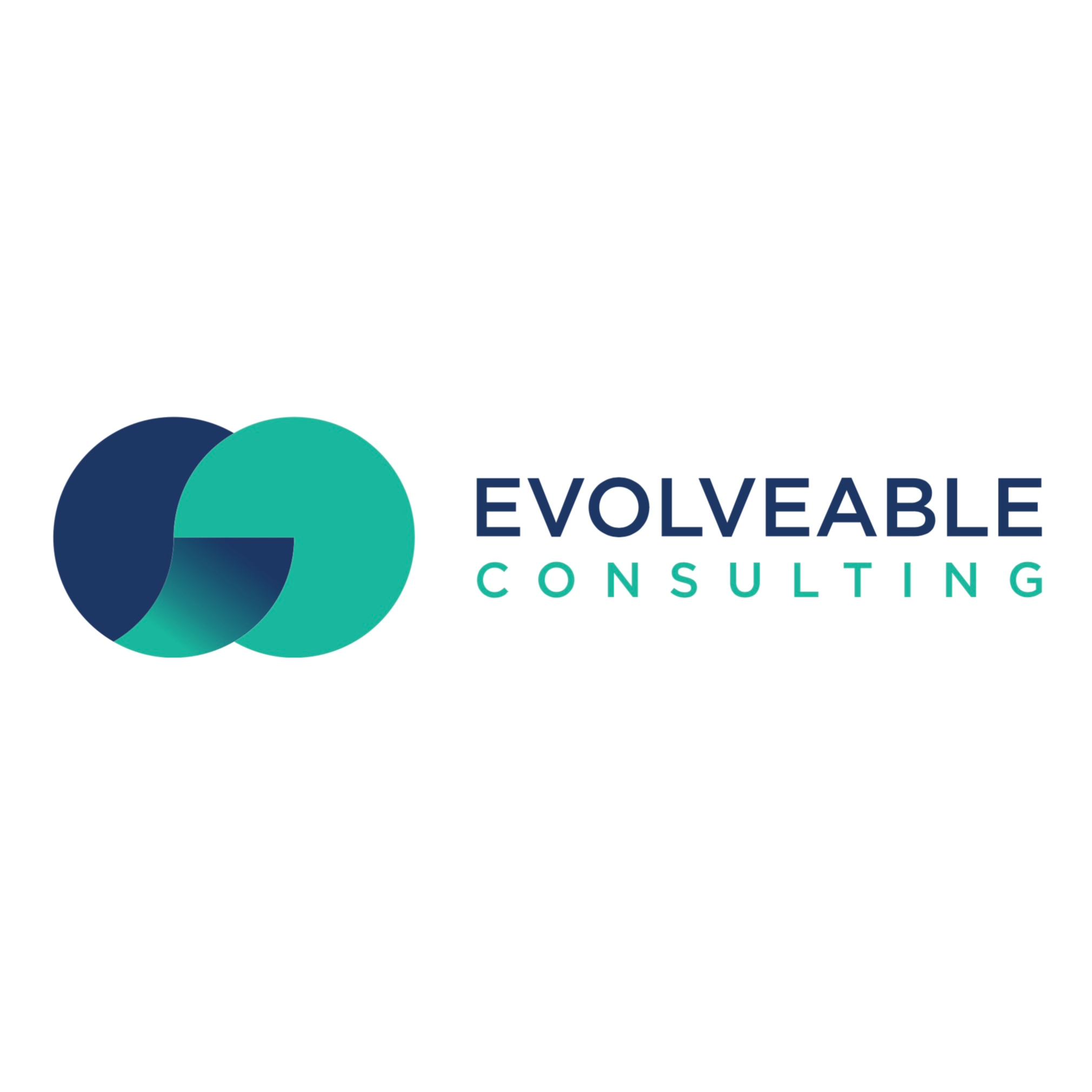 Evolveable Consulting - Overview, Employees & Contact Details | ensun