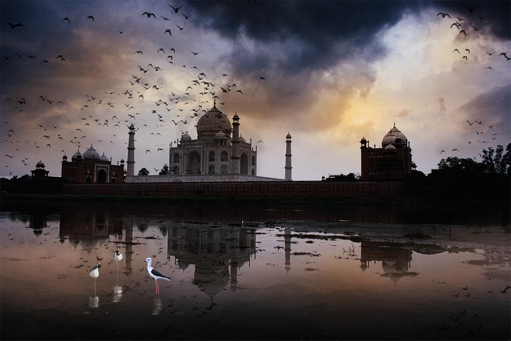 Product: Taj In The Evening